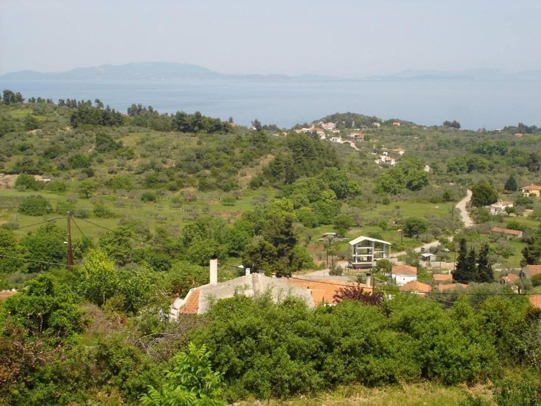 Ilias Appartements Tsaprounis Ellinika  ภายนอก รูปภาพ